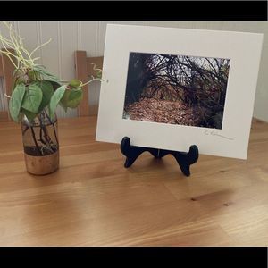 New Original Signed Photography